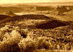 Sepia