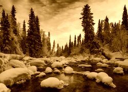 Sepia