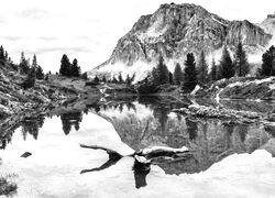 Szary + Sepia