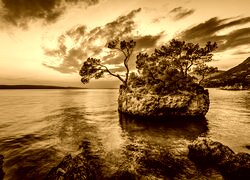 Sepia