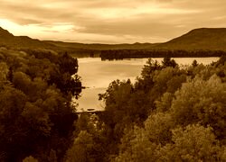 Sepia