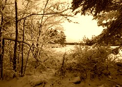 Sepia
