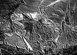 Skamielina