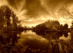Sepia