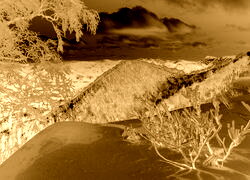 Sepia + Negatyw