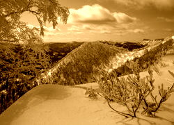 Sepia