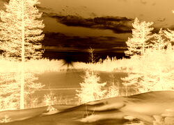 Sepia + Negatyw