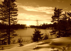 Sepia