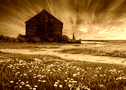 Sepia