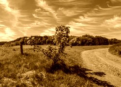 Sepia