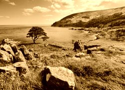 Sepia