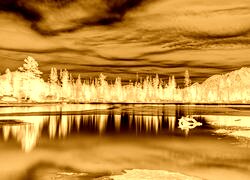 Sepia + Negatyw