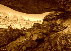 Sepia