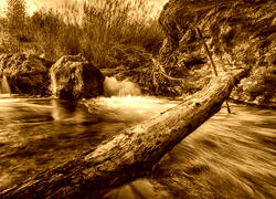 Sepia