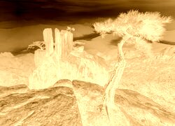 Sepia + Negatyw