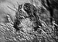 Skamielina