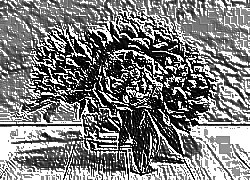 Skamielina
