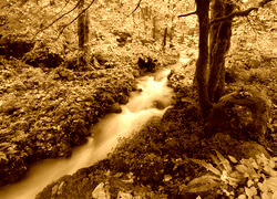 Sepia
