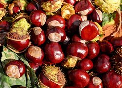 Oryginalny obrazek