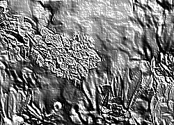 Skamielina