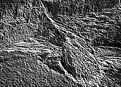 Skamielina