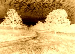 Sepia + Negatyw