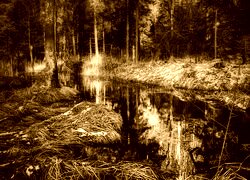 Sepia
