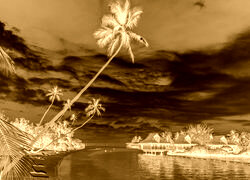 Sepia + Negatyw