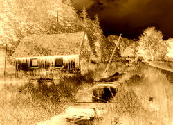 Sepia + Negatyw