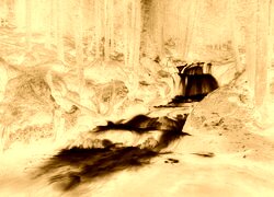 Sepia + Negatyw