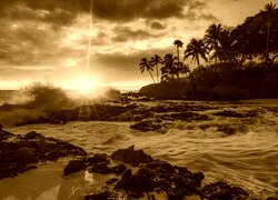 Sepia