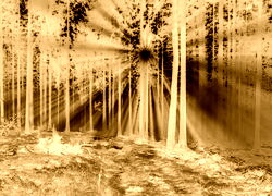 Sepia + Negatyw
