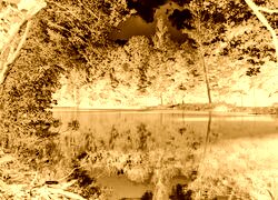 Sepia + Negatyw