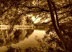 Sepia