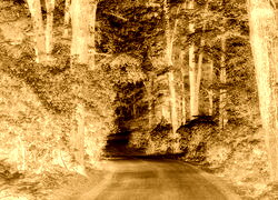 Sepia + Negatyw
