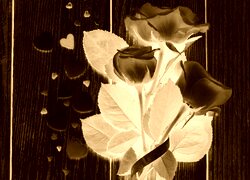 Sepia + Negatyw