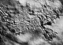 Skamielina