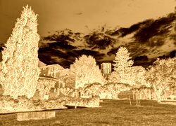 Sepia + Negatyw