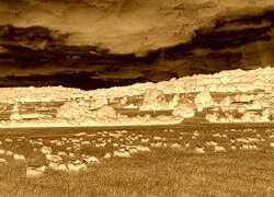 Sepia + Negatyw