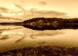 Sepia