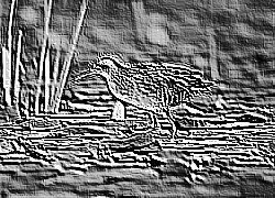 Skamielina