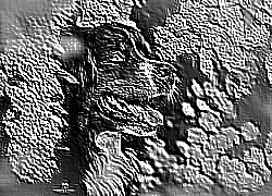 Skamielina