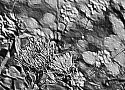 Skamielina