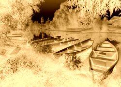 Sepia + Negatyw