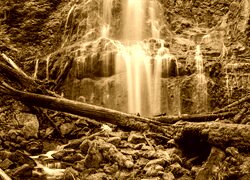 Sepia
