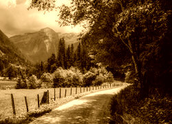 Sepia