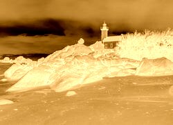 Sepia + Negatyw