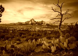 Sepia