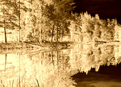Sepia + Negatyw