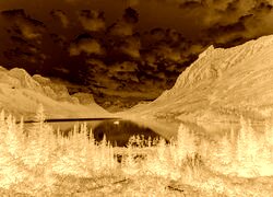 Sepia + Negatyw